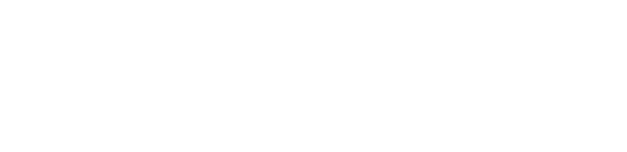 Daniela Coin, Consulente Relazionale